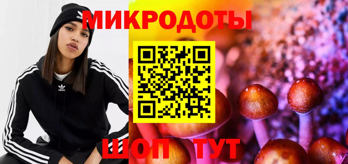 Псилоцибиновые грибы мицелий Ливны